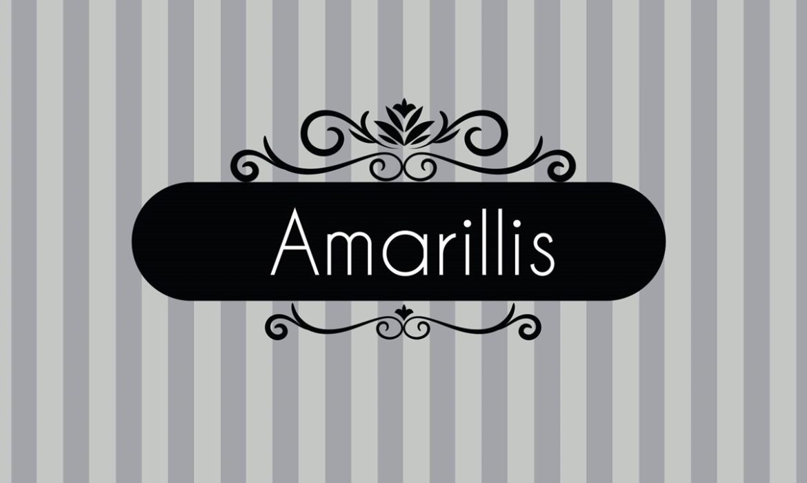 AMARILLIS TRICOT